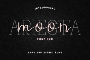 Ariesta Moon Duo: A Typeface for Elegant Branding