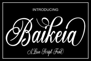Baikeia: A Modern Script Font for Branding