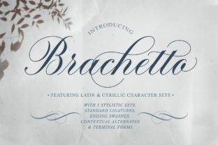 Brachetto: A Modern Script Font for Makers