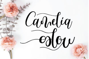 Camelia Glow: A Handwritten Typeface for Digital Design