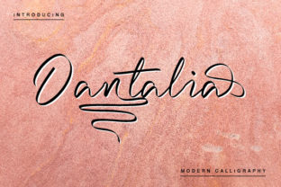 Dantalia: A Bold Script Font for Web Design